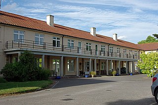 <span class="mw-page-title-main">Zachary Merton Hospital</span> Hospital in West Sussex, England