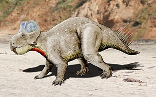 <i>Zhuchengceratops</i> Extinct genus of reptiles