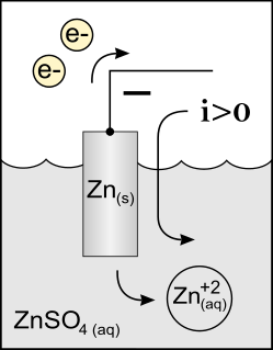 Anode electrode through which conventional current flows into a polarized electrical device