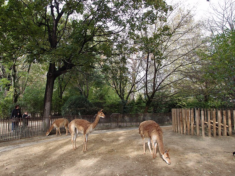 File:Zoo inside Jardin des Plantes 001.jpg