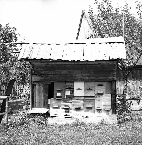 File:"Čebunak", Podgora 1962.jpg