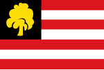 's Hertogenbosch vlag 1957.svg
