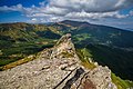 * Nomination Vukhaty Kamin mountain in Carpathians. By User:Zysko serhii --Anntinomy 20:04, 26 August 2021 (UTC) * Promotion Good quality --Michielverbeek 20:48, 26 August 2021 (UTC)