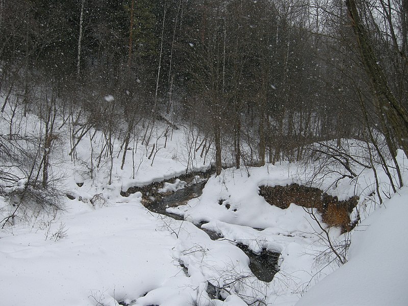 File:Толпинский ручей зимой (The Tolpinskiy brook in winter) - panoramio.jpg