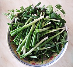 Mint, parsley, and green onions