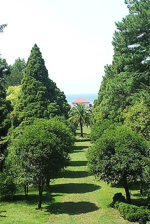 Jardin Botanique De Batoumi