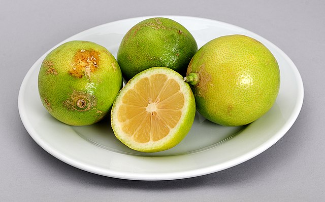 Лимоны, выращенные с помощью методов органического сельского хозяйства