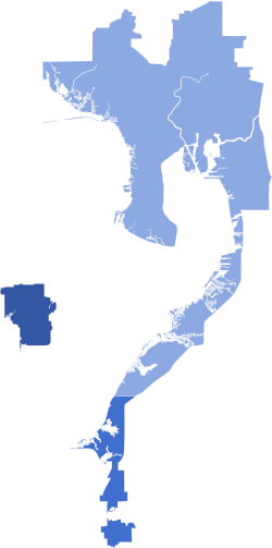 2010 Florida's 11th Congressional District election by county.svg