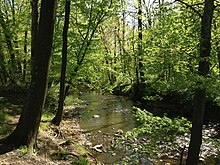 The Shabakunk Creek, below Colonial Lake, flowing in the southern portion of the township towards Trenton. 2013-05-04 15 37 44 View down the Shabakunk Creek just below Colonial Lake in Colonial Lake Park, Lawrence Township, New Jersey.jpg