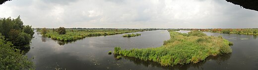 Zicht op De Deelen vanuit de vogelkijkhut (2013). Links de Alddeel, de sloot die tijdens de vervening diende ter ontsluiting van het gebied.