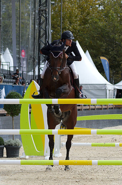 File:2013 Longines Global Champions - Lausanne - 14-09-2013 - Guillaume Hennequin et Chairman LS La Silla 2.jpg