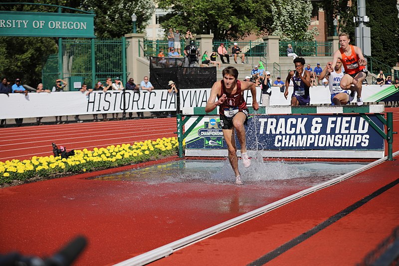 File:2018 NCAA Division I Outdoor Track and Field Championships (27868022897).jpg