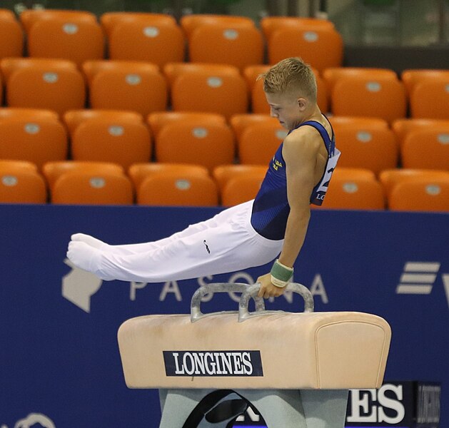 File:2019-06-27 1st FIG Artistic Gymnastics JWCH Men's All-around competition Subdivision 3 Pommel horse (Martin Rulsch) 110.jpg