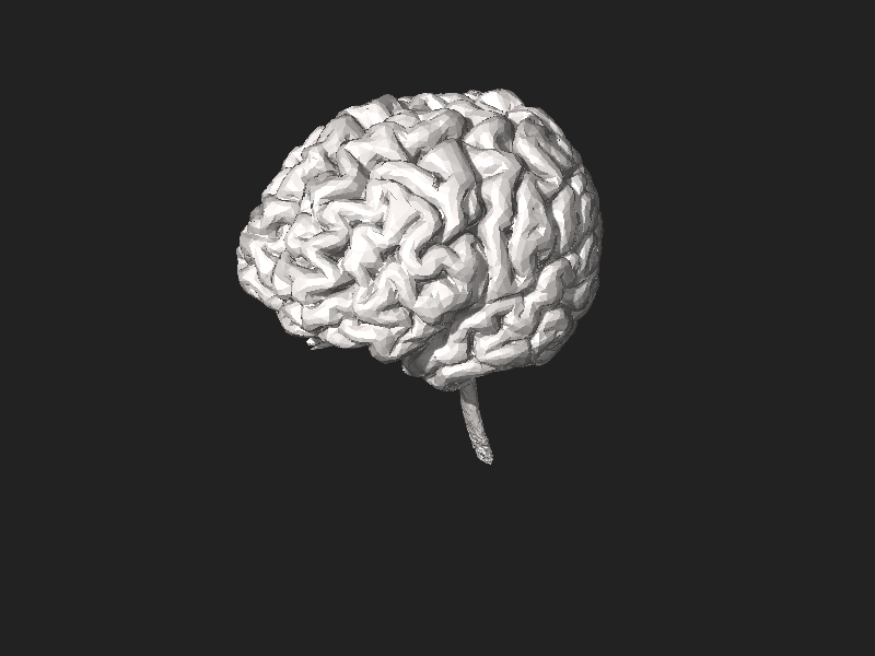 File:3DPX-003765 3DModel of Brain Nevit Dilmen.stl