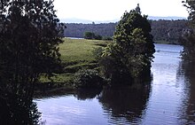 Nowra Creek