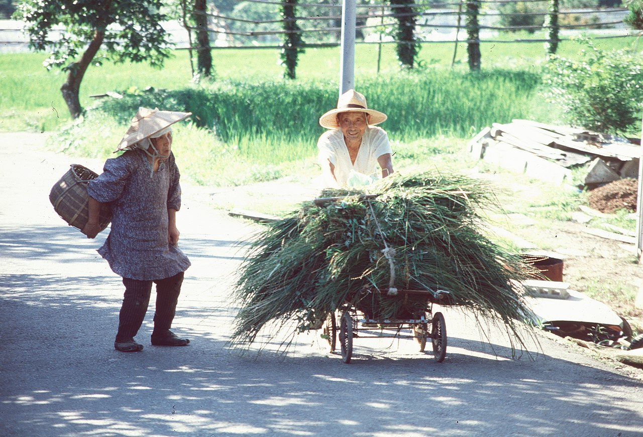 File:Abiko, farmer's couple.jpg - Wikimedia Commons