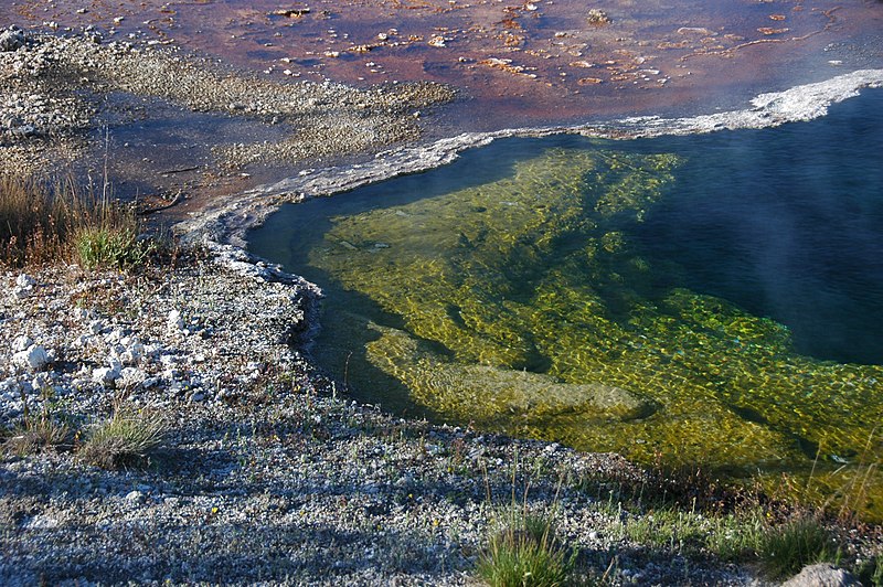 File:Abyss Pool (11 August 2011) 08.jpg