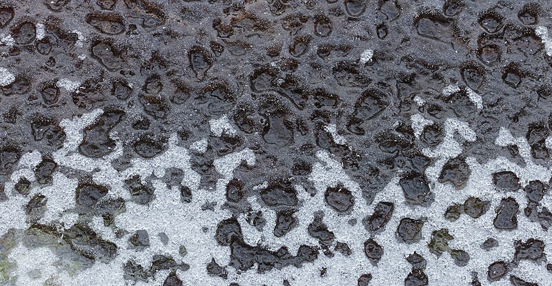 File:Afdrukken van waterdruppels in ijslaag op Jonkersloot. Locatie, Natuurterrein De Famberhorst 04.jpg