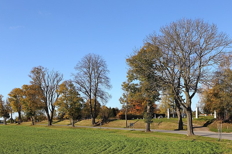 File:Allee entlang der Thayastraße in Waidhofen 2017-10 2 NDM WT-051.jpg