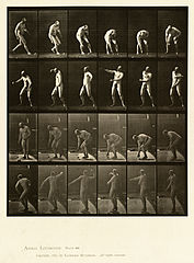 Animal locomotion. Plate 302 (Boston Public Library).jpg