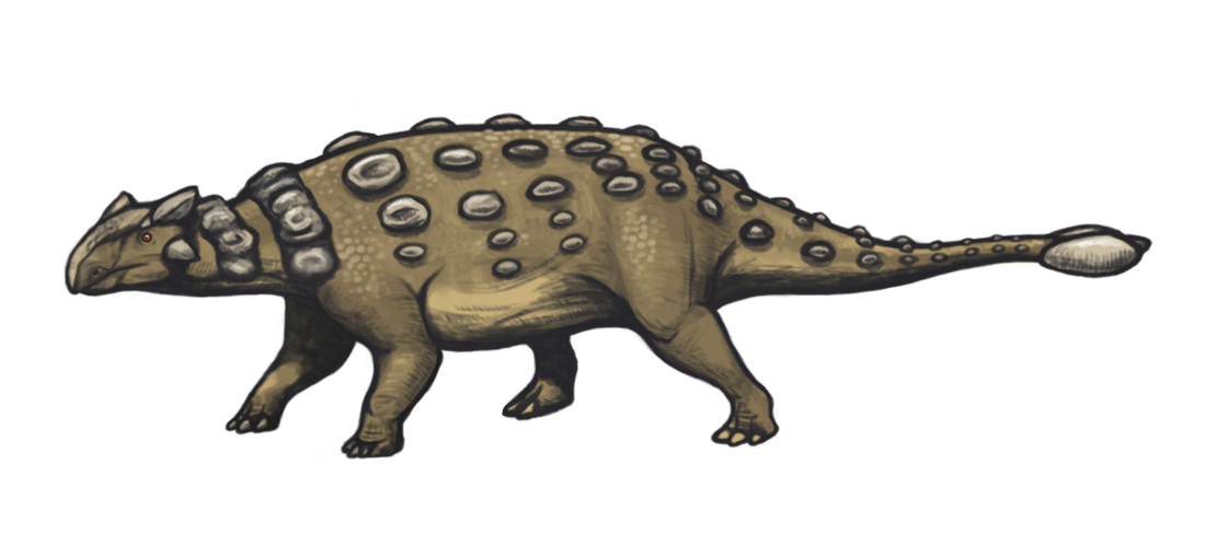 Ankylosauridae