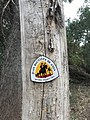 Anza Trail, signage (0688e973-1b4e-4b16-8e89-070043cd089f).JPG