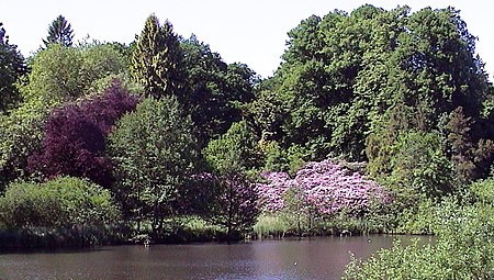 Arboretum2005