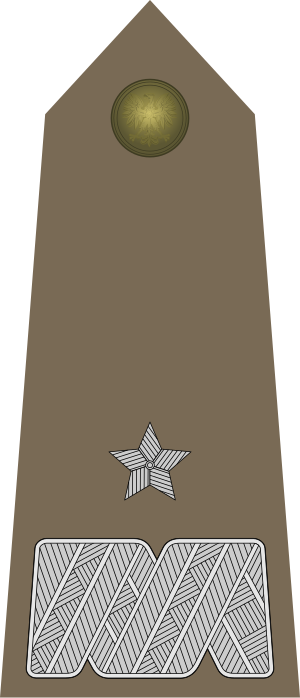 Army-POL-OF-06.svg