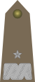 Army-POL-OF-06.svg