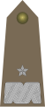 Polish Army OF-06 (Generał brygady)