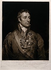 Wellington duke of The Duke