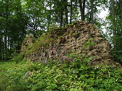 Руины замка Буртнек
