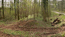 Buckethal Landwehr Buckethaler Landwehr mit Strasse.jpg