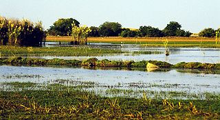 <span class="mw-page-title-main">Bangweulu Wetlands</span>