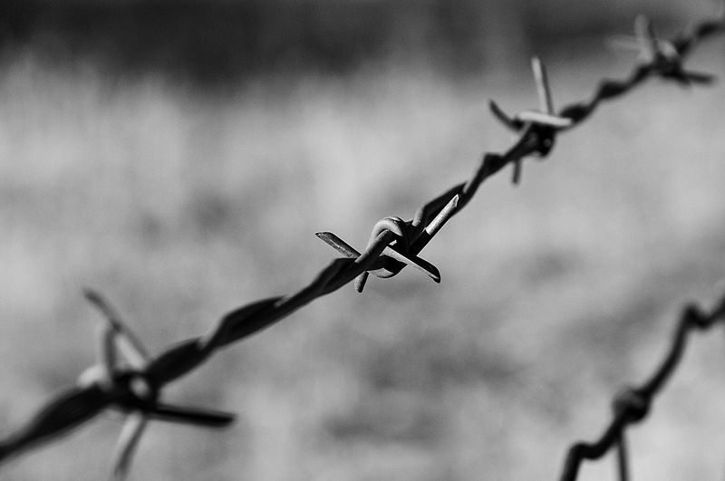File:Barbed Wire on a moto ride - BW.jpg