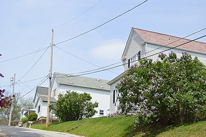 Cómo llegar a Wilkins Township, PA en transporte público - Sobre el lugar