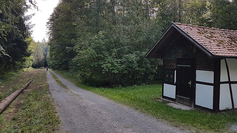 File:Bei Bad Mergentheim-Lustbronn im Wald im Sommer 2017 - 1.jpg