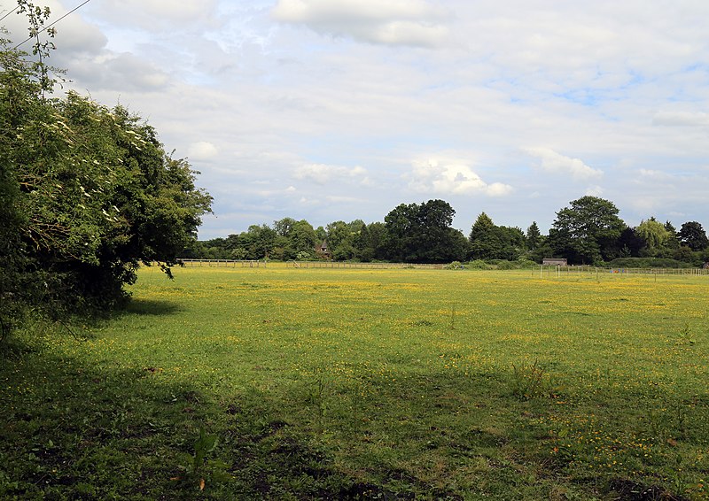 File:Betts Lane field at Nazeing, Essex, England 02.JPG