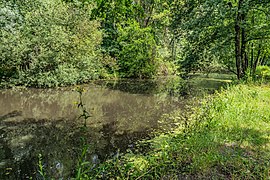 The Beuvron at Bracieux