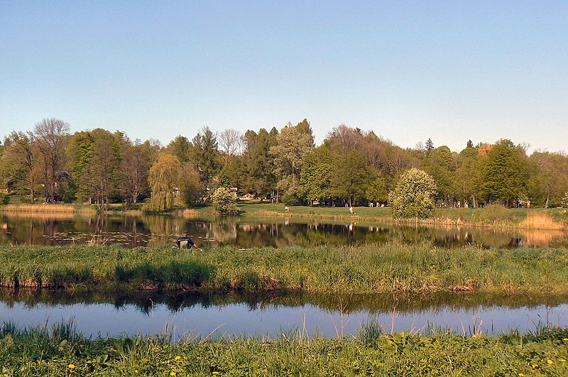 File:Białowieża.Na pierwszym planie rzeczka Narewka. - panoramio.jpg