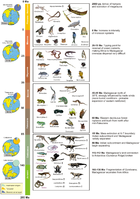 Biogeographic timetable of Madagascar - journal.pone.0062086