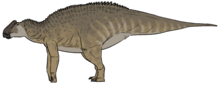 Bonapartesaurus rionegrensis