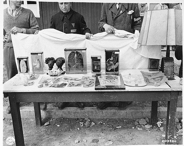 Buchenwald 16 April 1945. Collection of prisoners' internal organs including two human heads remains (upper left) and also examples of tattooed skins 