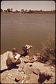 CALIFORNIA FISH AND GAME BIOLOGISTS TAKE WATER SAMPLES FROM "GOOSE FLATS" SECTION OF THE COLORADO RIVER. THEY TEST... - NARA - 549059.jpg