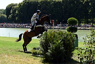 <span class="mw-page-title-main">Equestrian events at the 2024 Summer Olympics – Team eventing</span>