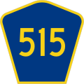 File:CR 515 jct.svg