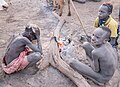 Campamento de ganado de la tribu Mundari, Terekeka, Sudán del Sur, 2024-01-29, DD 24