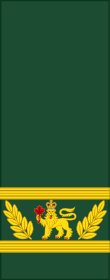 Canadian Army sleeves (Commander-in-Chief of the Canadian Armed Forces).svg