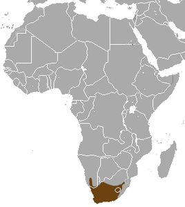 Cape Gray Mongoose area.png