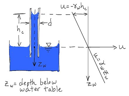 Water is drawn into a small tube by surface tension. Water pressure, u, is negative above and positive below the free water surface